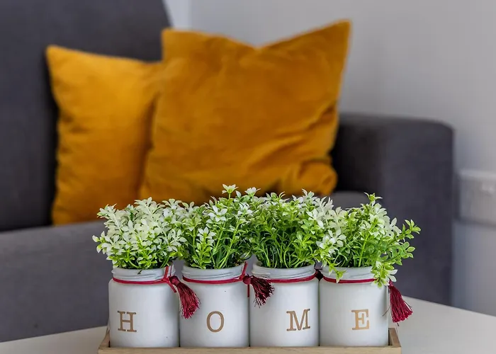 Apartment Modern Luxury